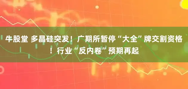 牛股堂 多晶硅突发！广期所暂停“大全”牌交割资格！行业“反内卷”预期再起